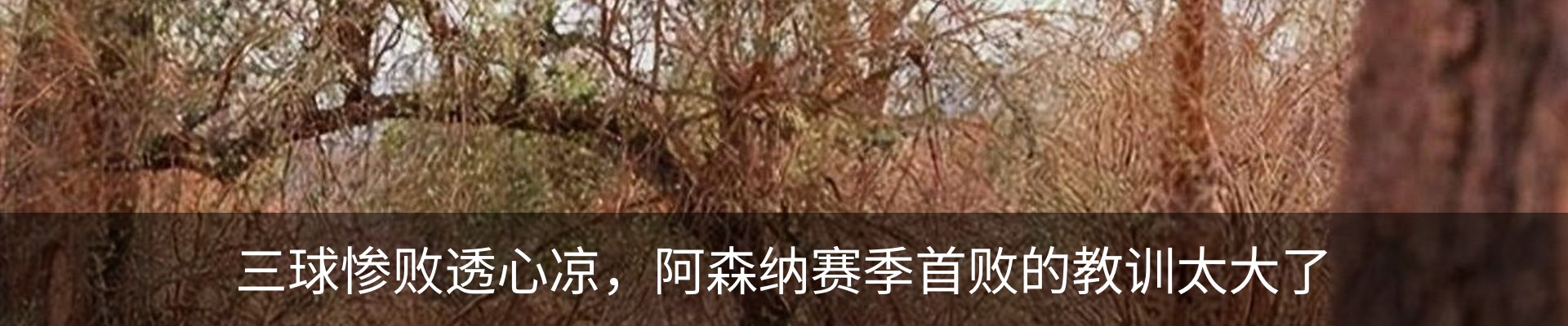 资讯动态