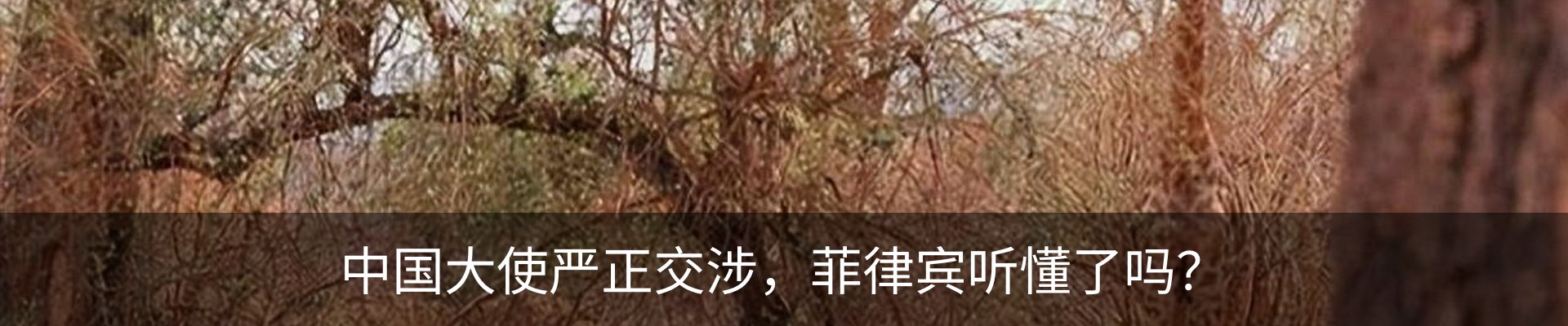 资讯动态