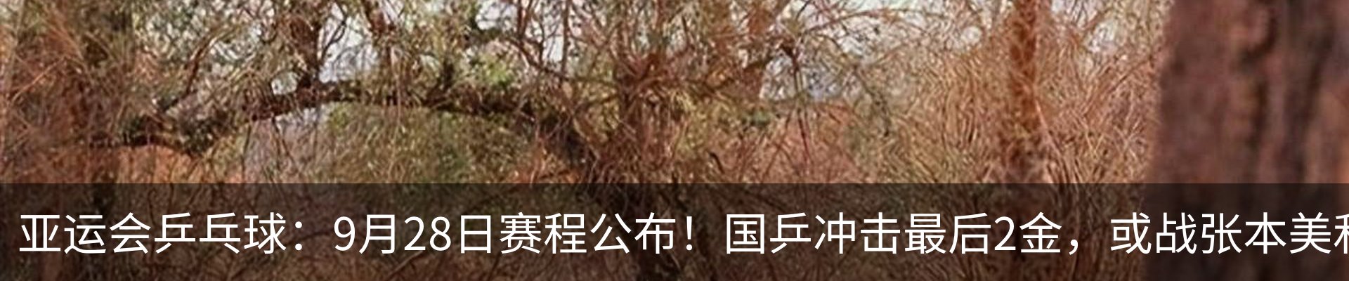 资讯动态