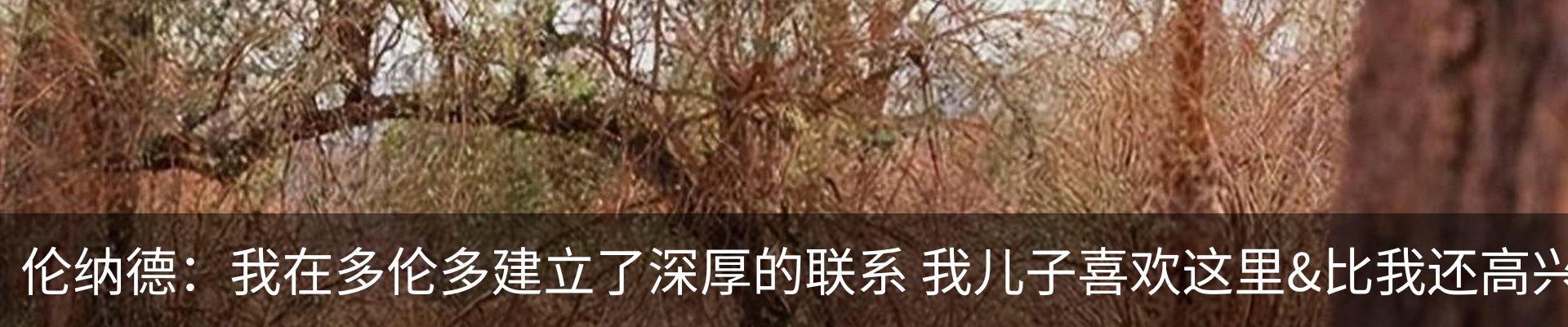 资讯动态