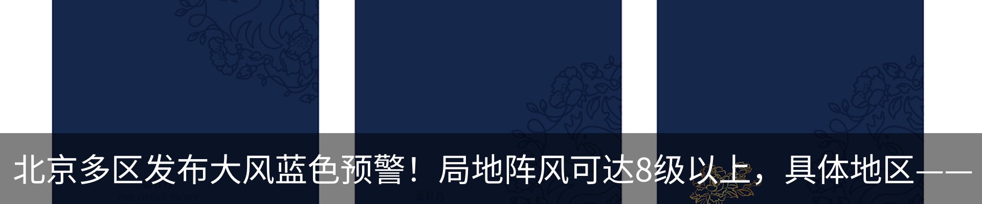 资讯动态