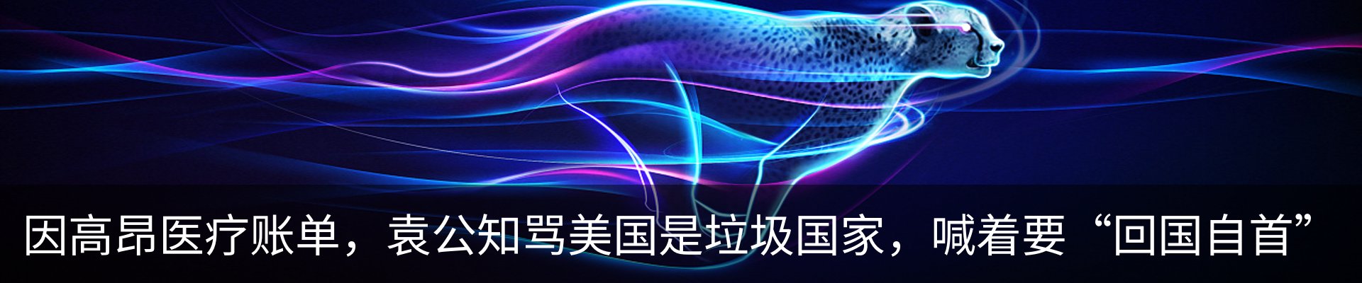 资讯动态
