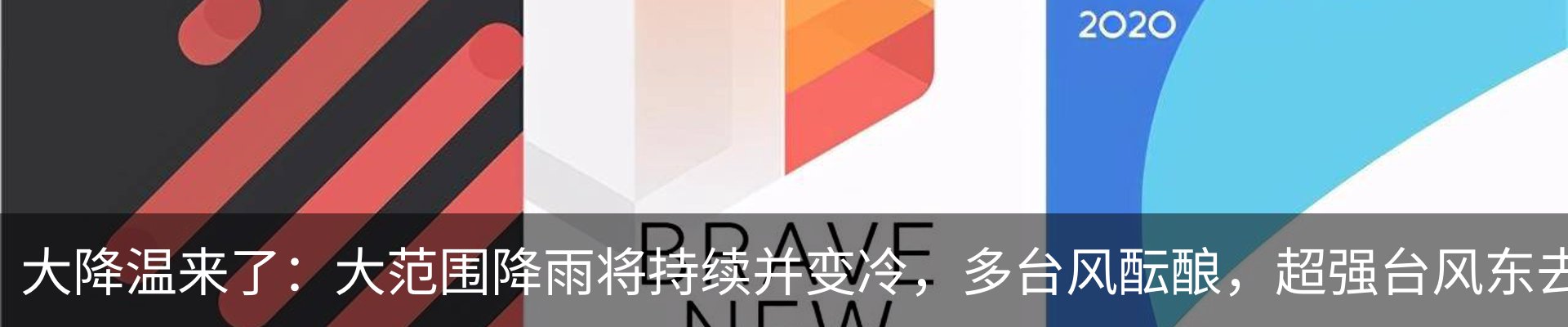 资讯动态