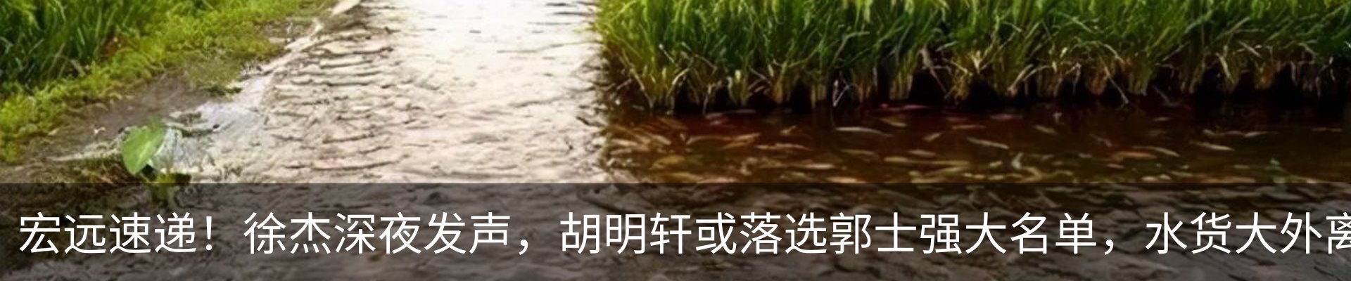 资讯动态