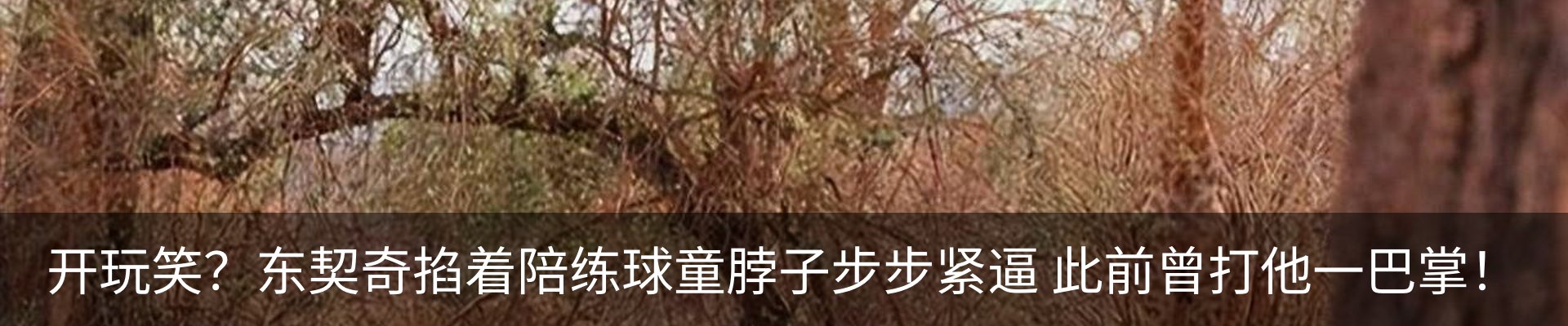 资讯动态
