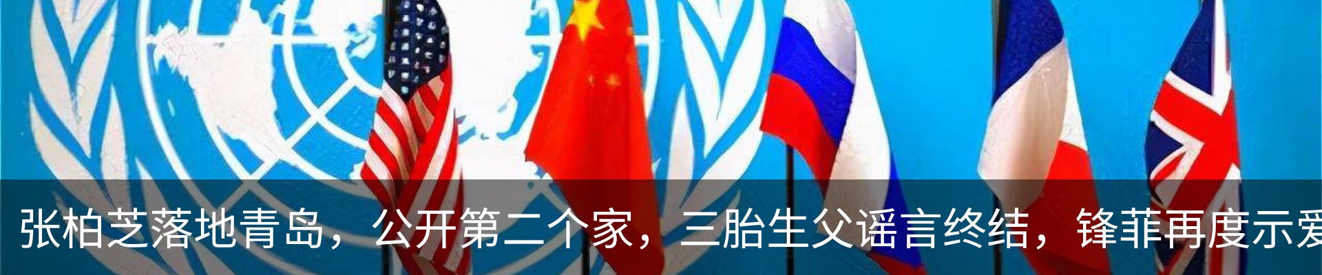 资讯动态
