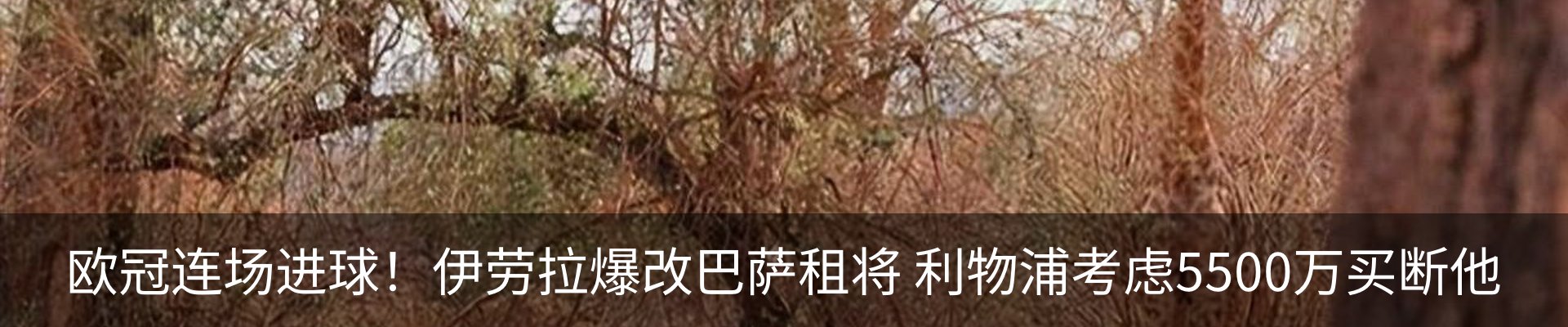 资讯动态