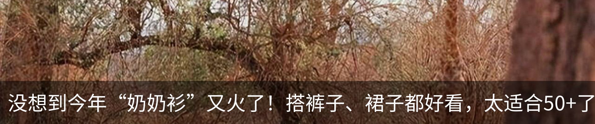 资讯动态