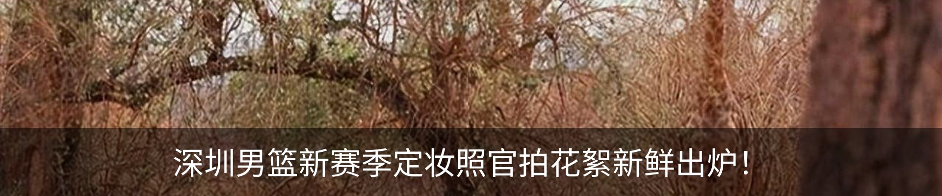 资讯动态