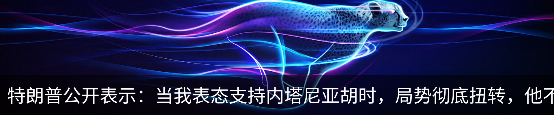 资讯动态