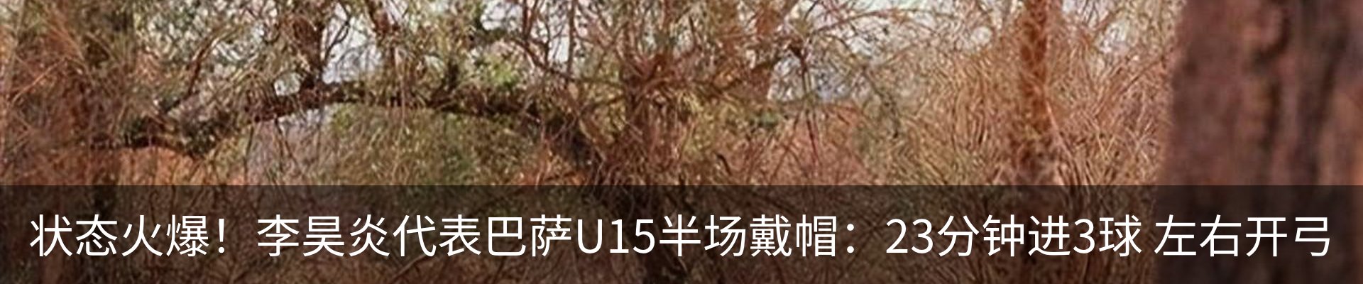 资讯动态