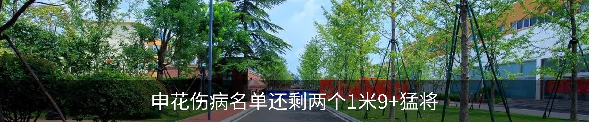 资讯动态