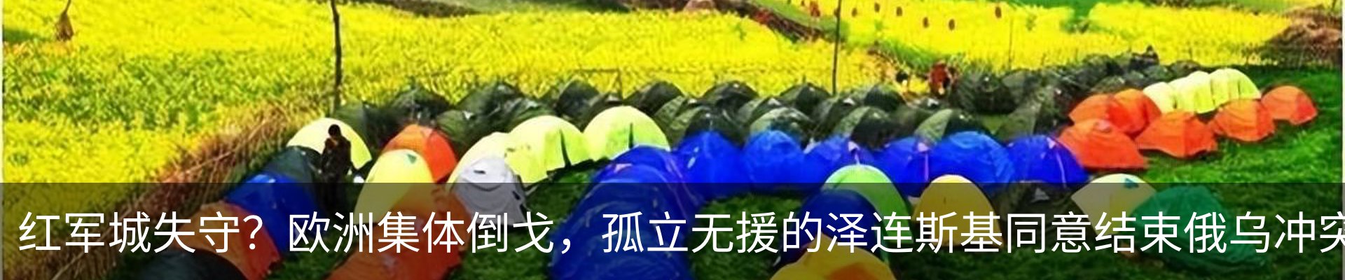 资讯动态