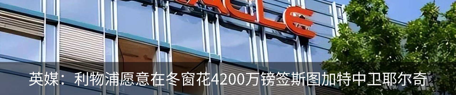资讯动态