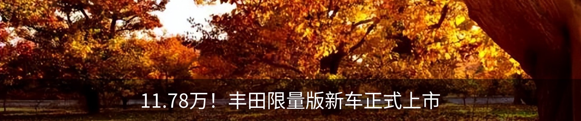 资讯动态