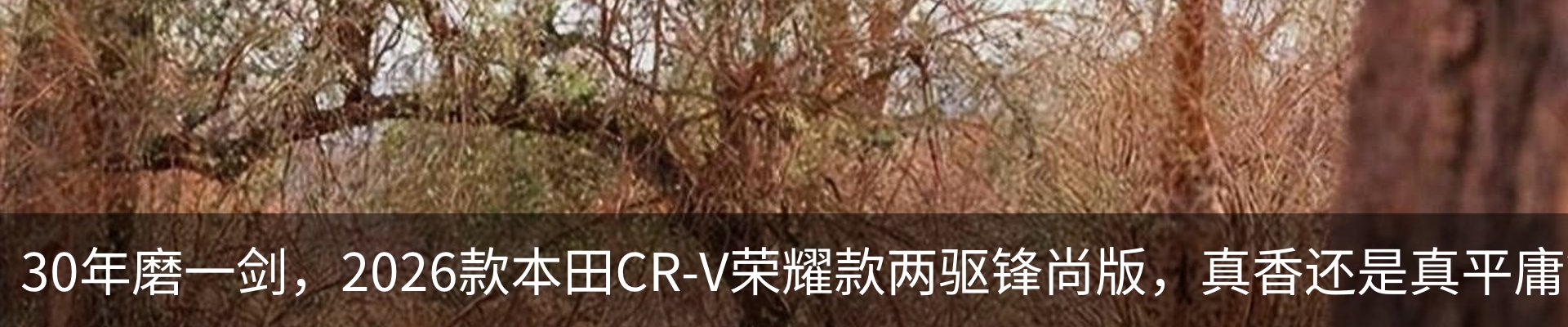 资讯动态
