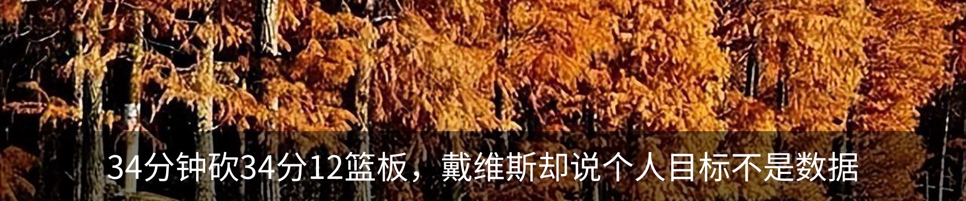 资讯动态