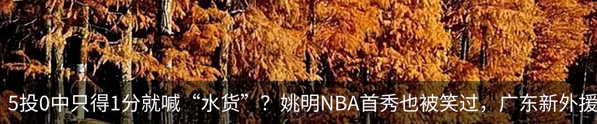 资讯动态